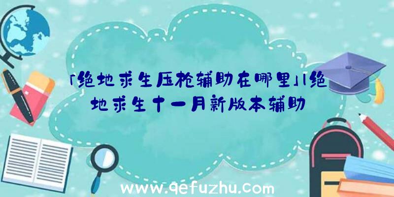 「绝地求生压枪辅助在哪里」|绝地求生十一月新版本辅助